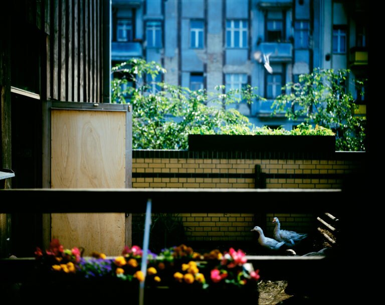 Berlin Wall Photography Project